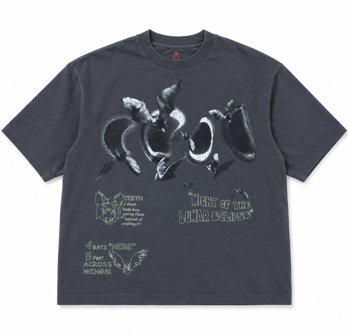 T shirt